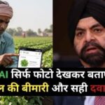अब AI सिर्फ फोटो देखकर बताएगा फसल की बीमारी और सही दवा, यूपी में ट्रायल हुआ सफल-फसल बीमारी पहचान AI